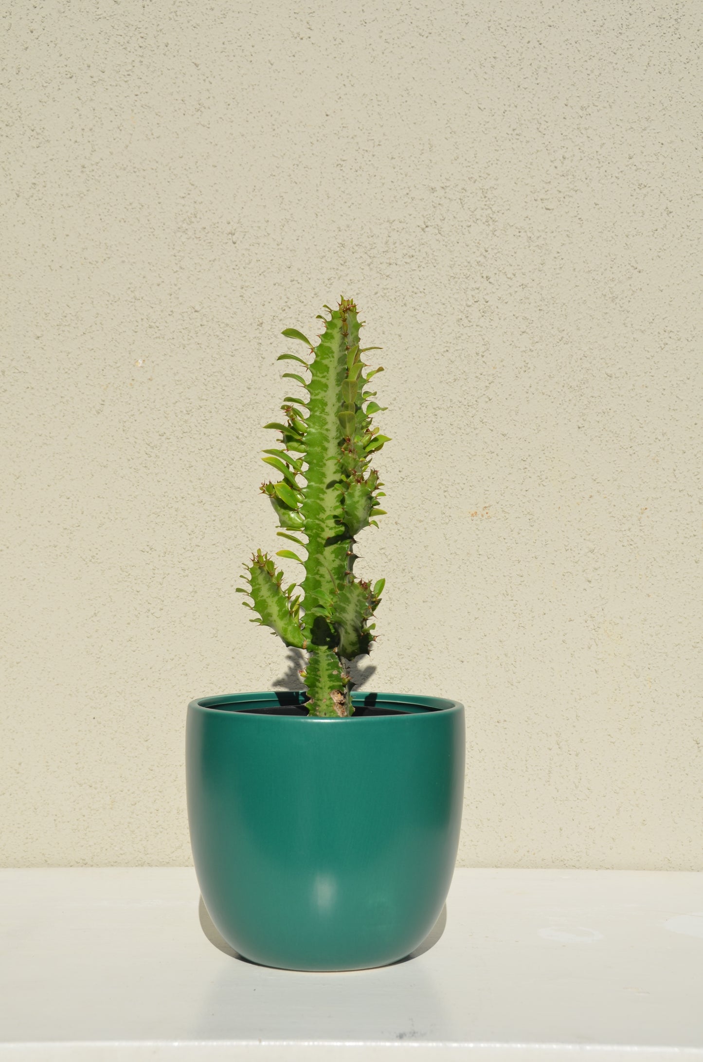Green Matt Pots