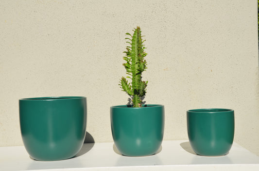 Green Matt Pots