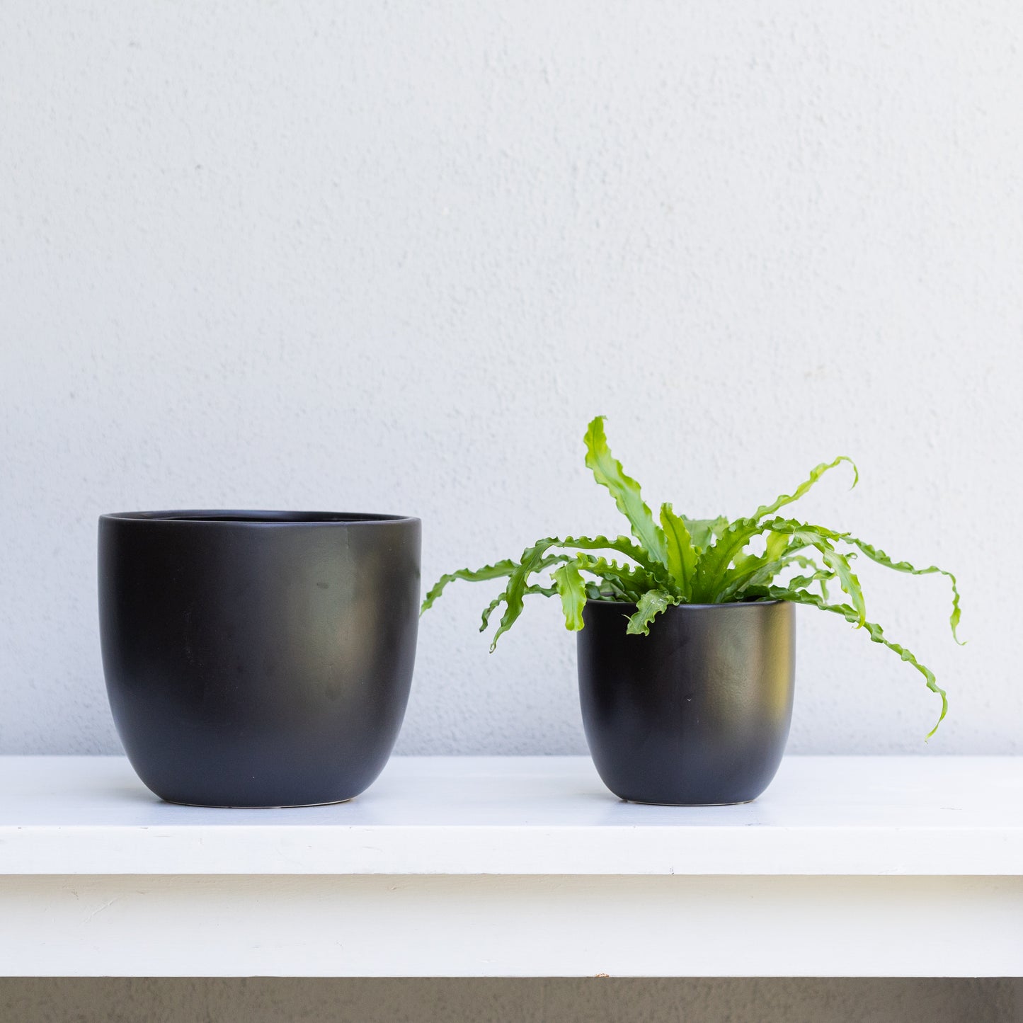 Black Matte Pot