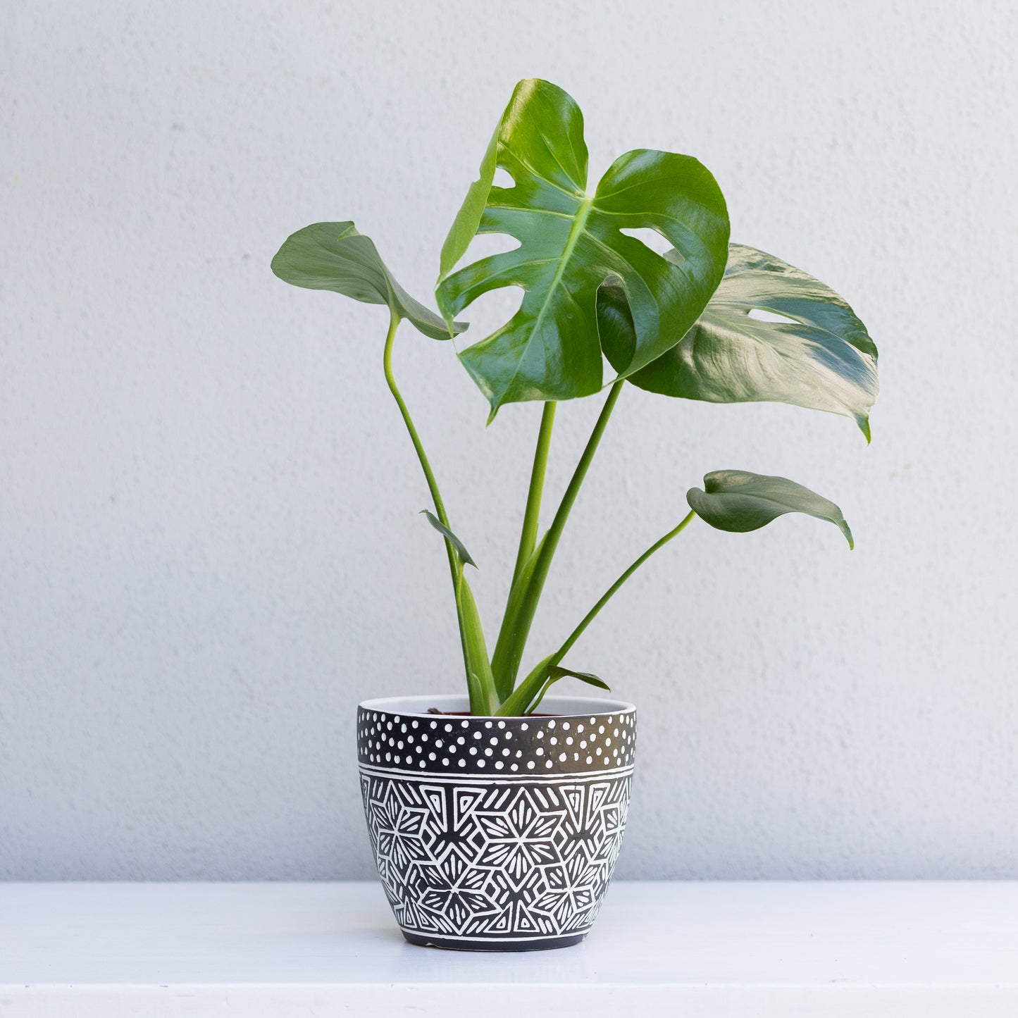 White & Black Patterned Pot