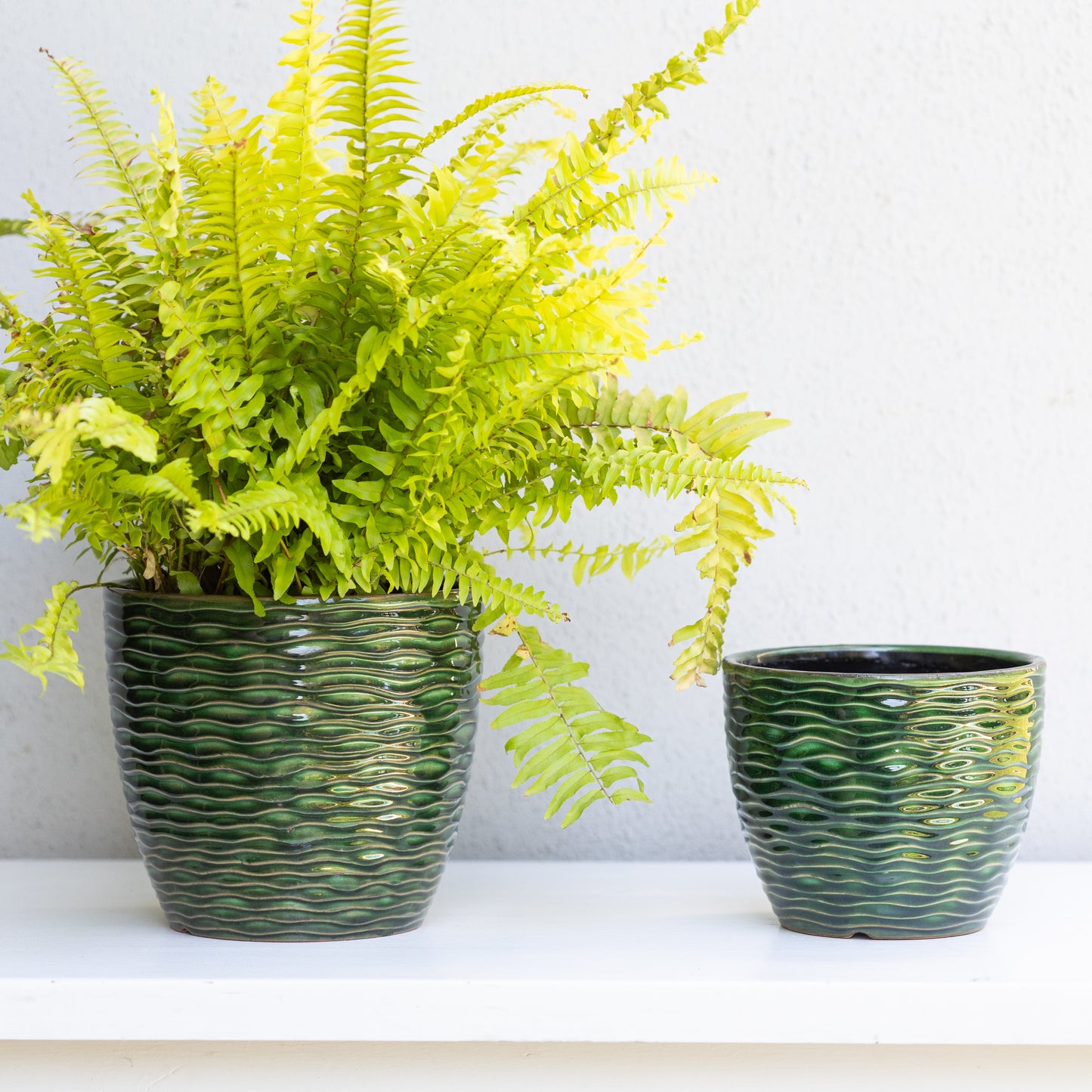 Green Patterned Pot