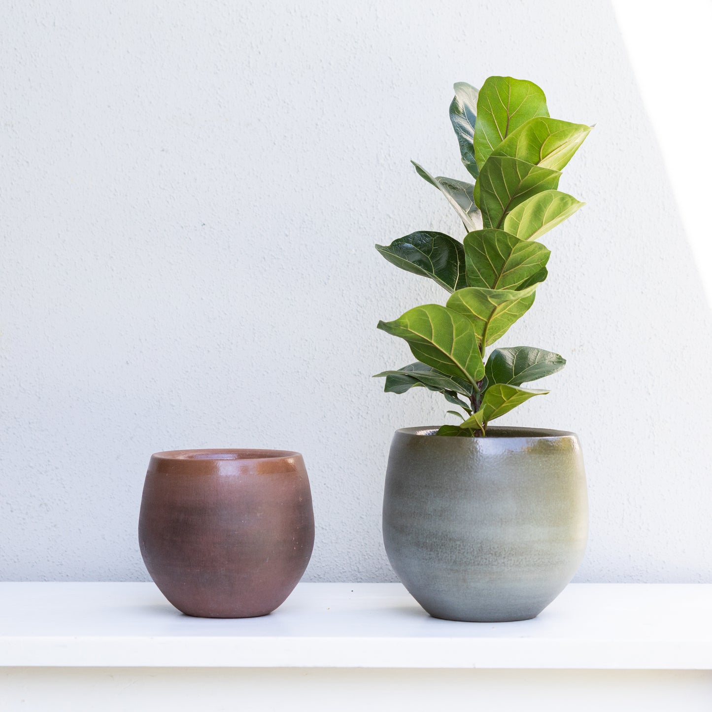 Brown & Olive Green Pot