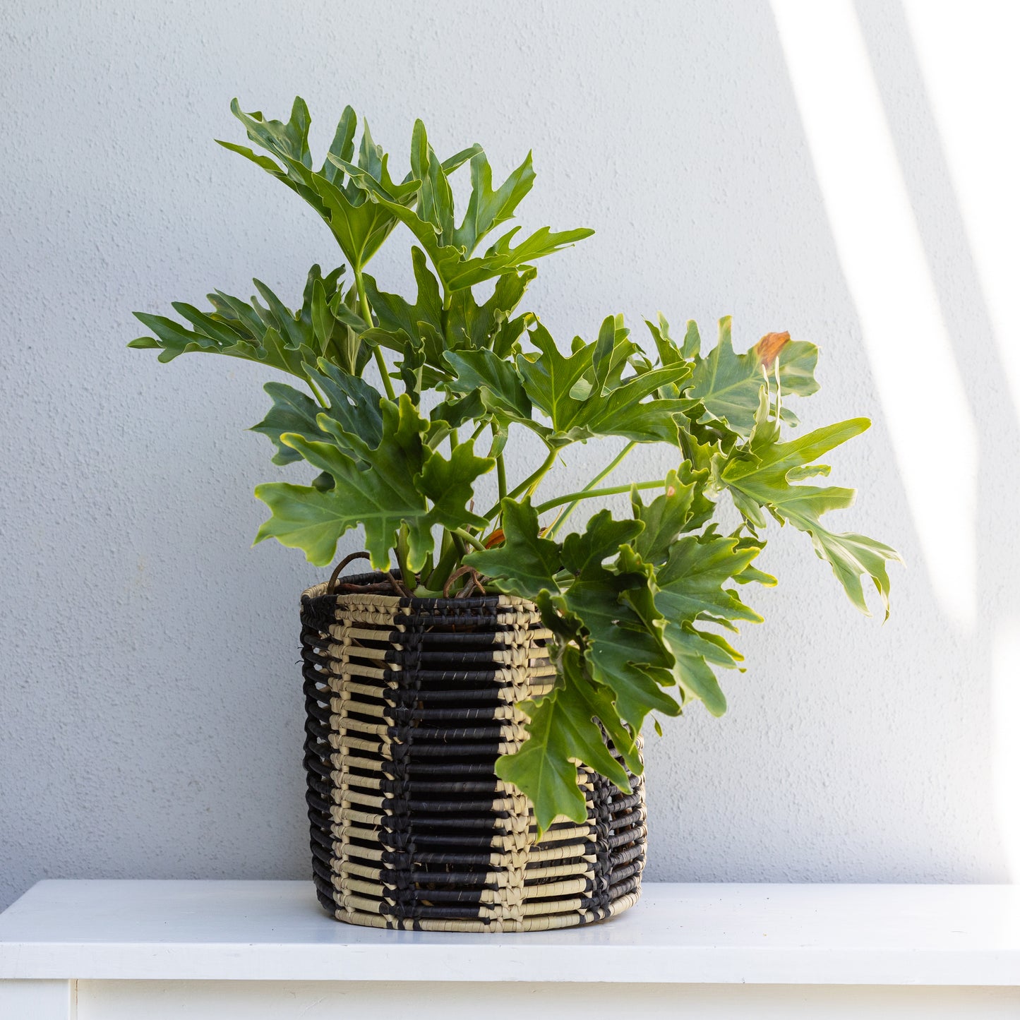 Woven Black & Cream Basket