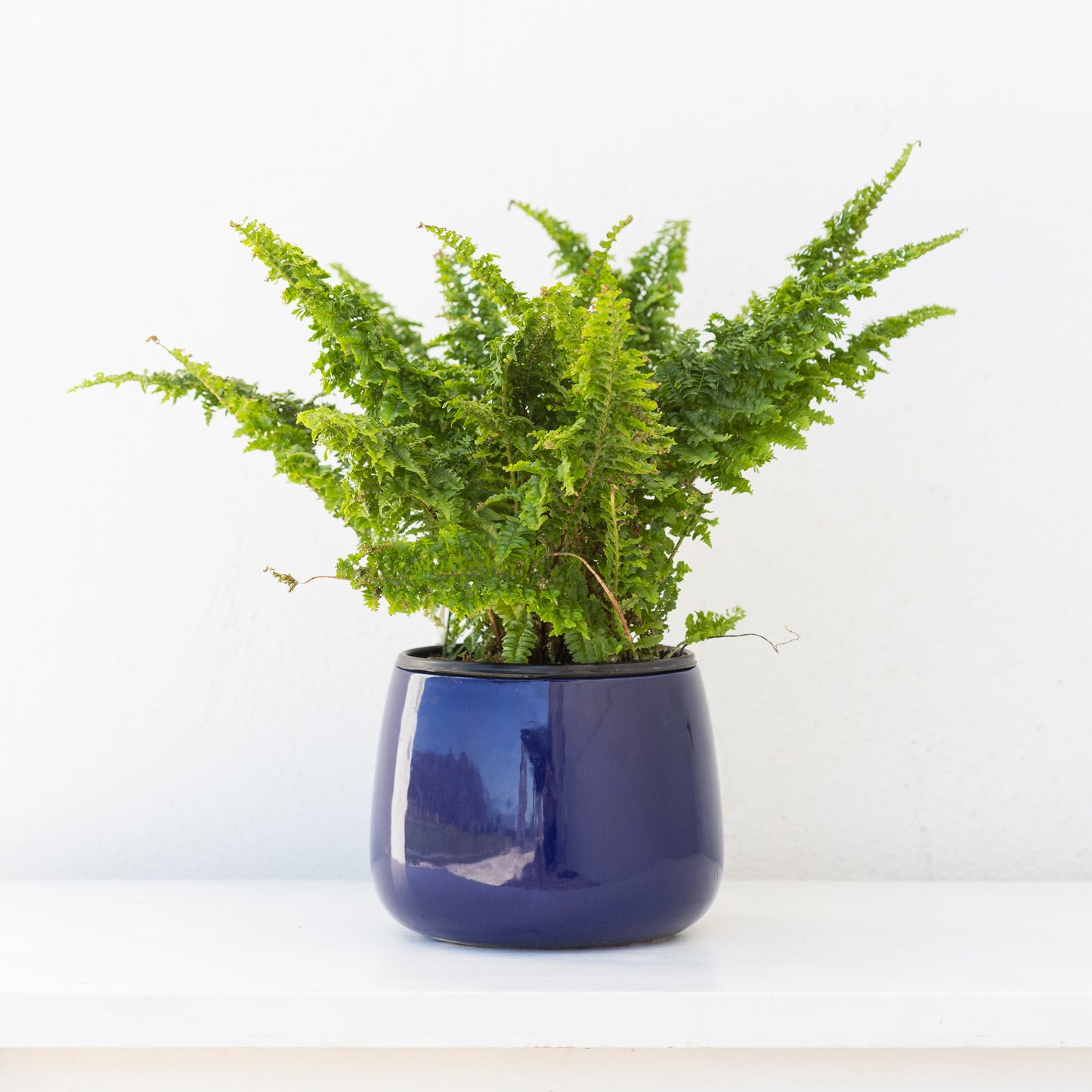 Blue Shaped Pot